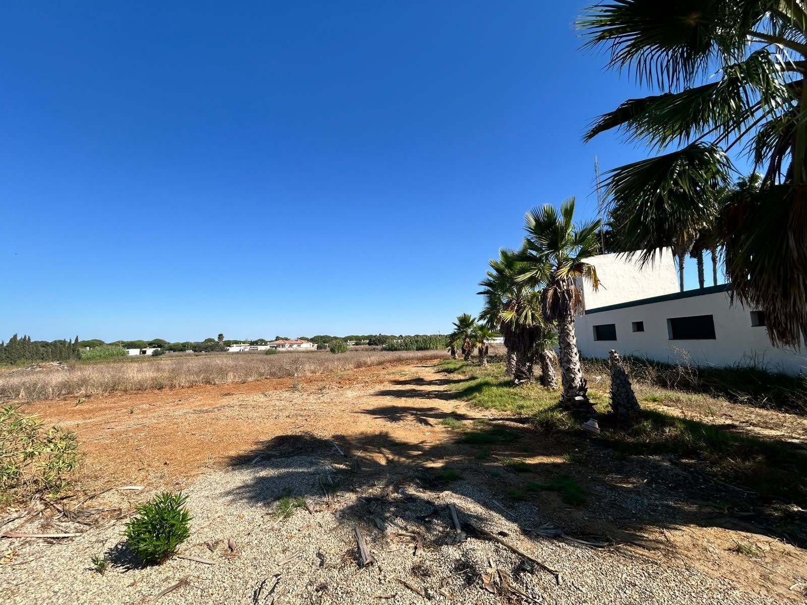 Complejo rural en Conil · imagen 21