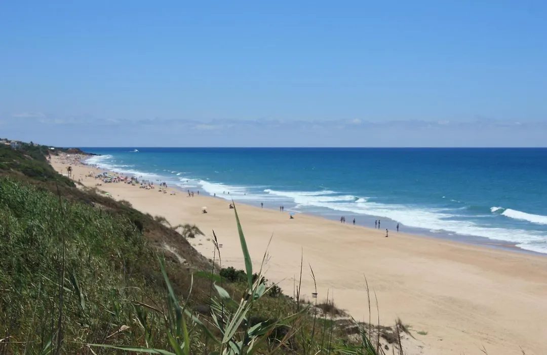 Hotel Bari — Conil de la Frontera · imagen 45