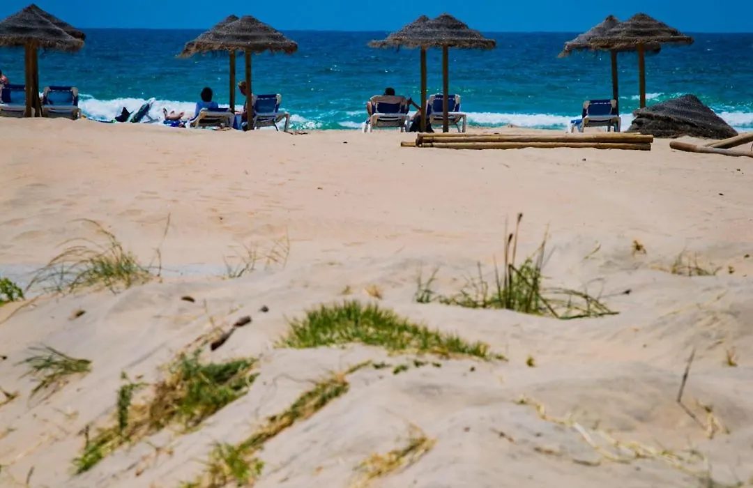 Hotel Bari — Conil de la Frontera · imagen 78